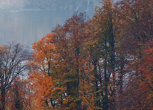 粉象生活直播挣钱