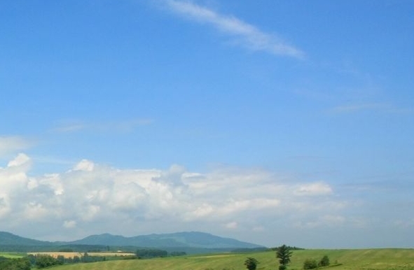 粉象生活能赚到钱吗