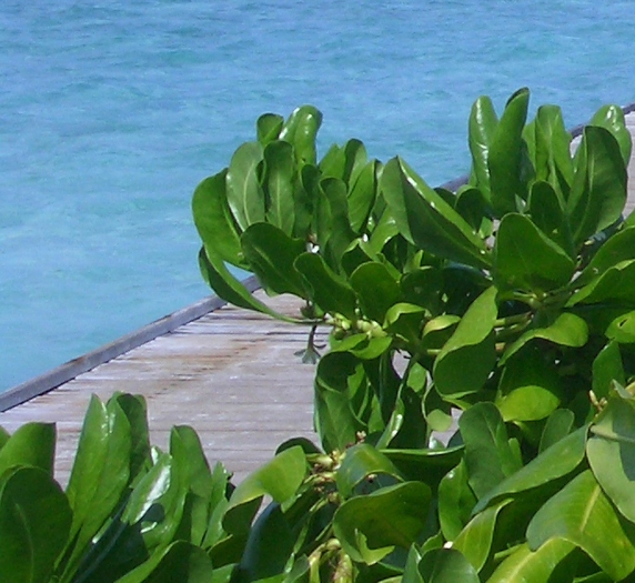 粉象生活下载app