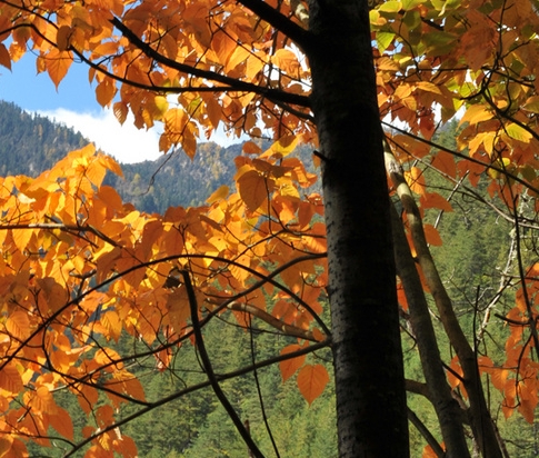 为什么粉象生活会返佣