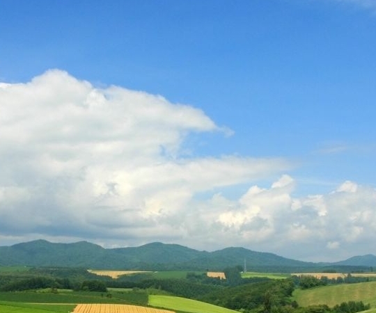 粉象生活粉丝怎么增加
