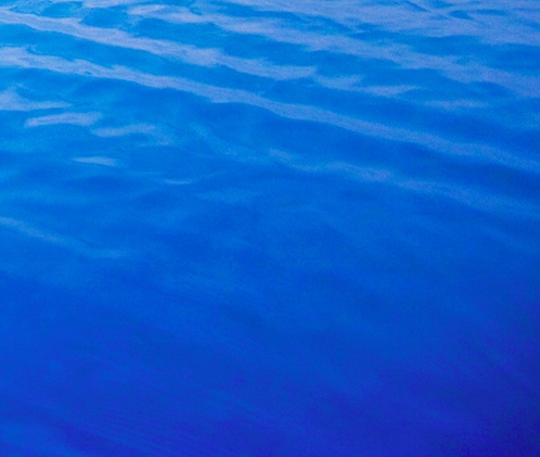 如何经营粉象生活