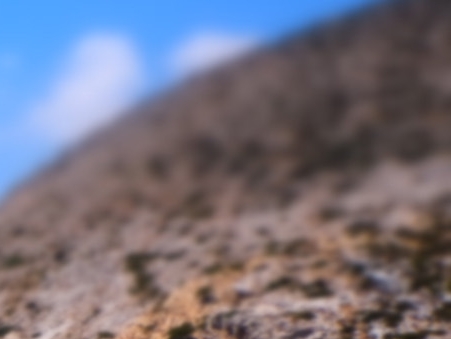 京东生活缴费在哪个页面显示