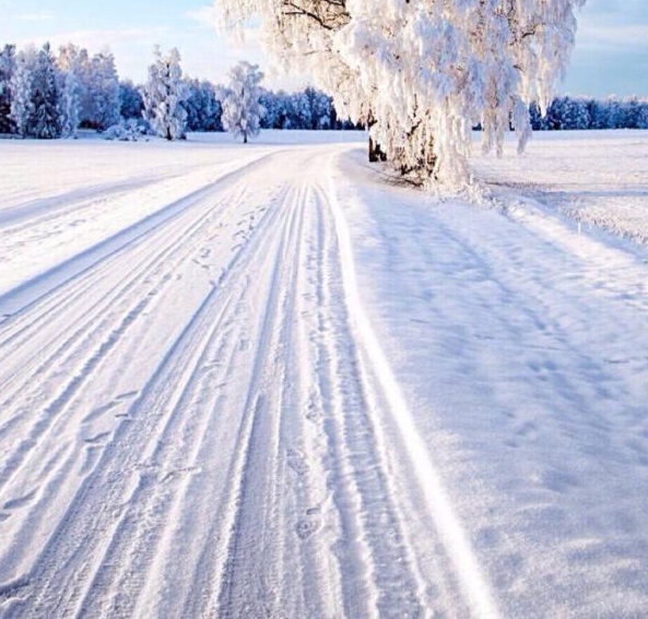 粉象和蓝帽哪个有名