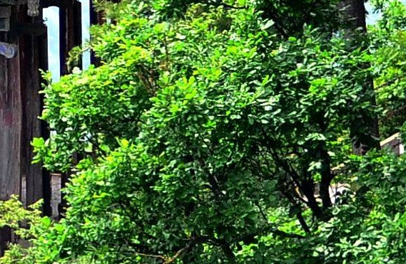 最省钱的粉象生活邀请码