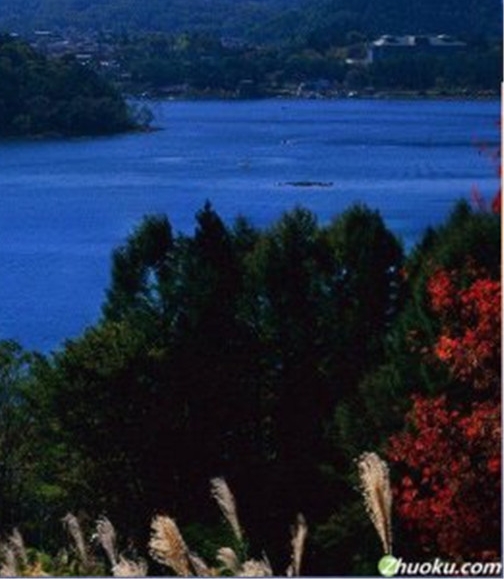 粉象生活返佣是真的吗