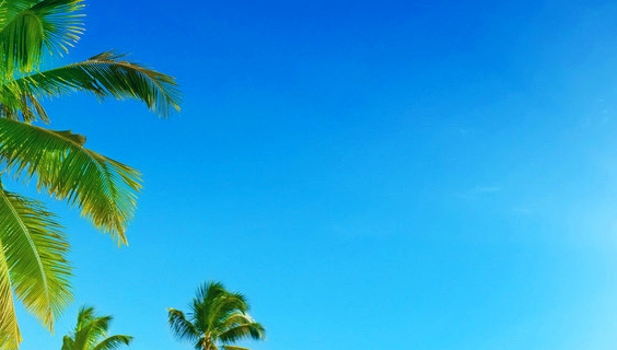 粉象生活邀请码