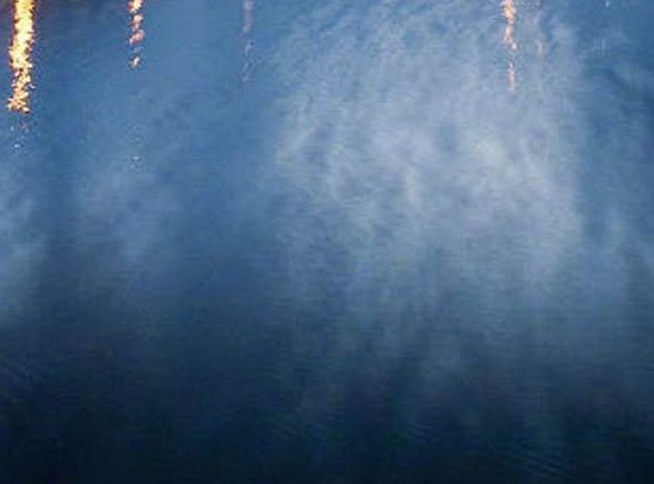 粉象生活能赚到钱吗