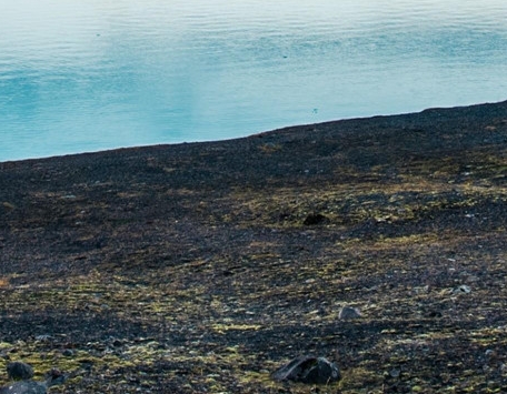 粉象生活公司背景