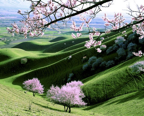 乐于分享生活的人