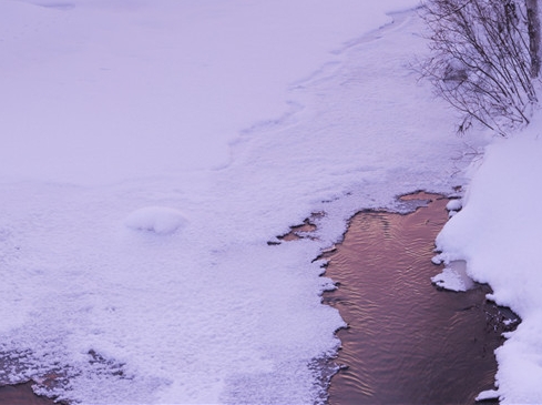 粉象生活怎么取消授权淘宝