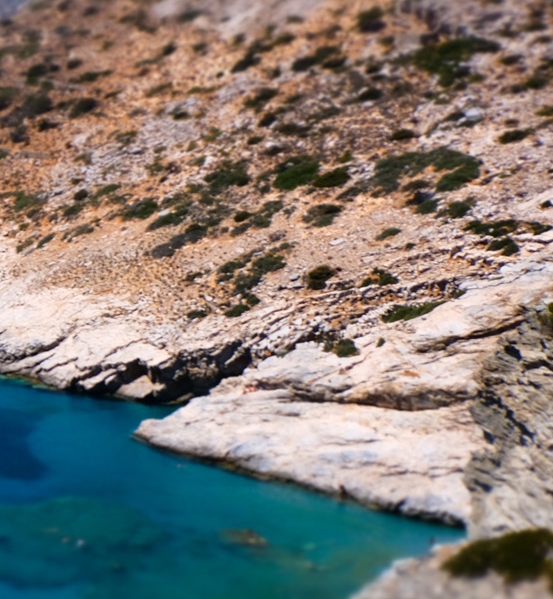 粉x全名叫什么酒