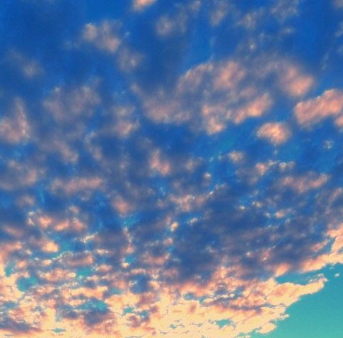 粉象生活怎么推广