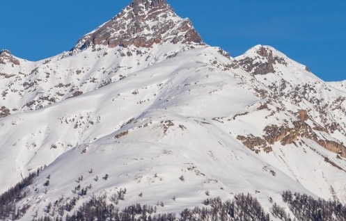 粉象生活邀请码