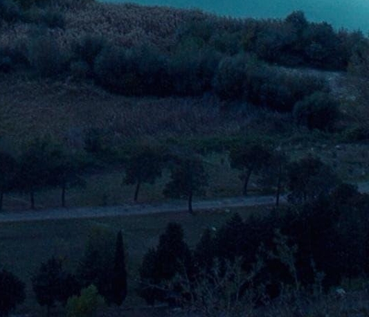 粉象生活挣钱是不是套路