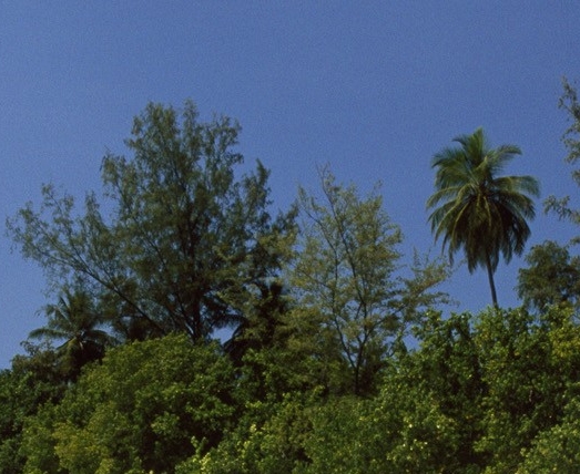 粉象生活的平台介绍