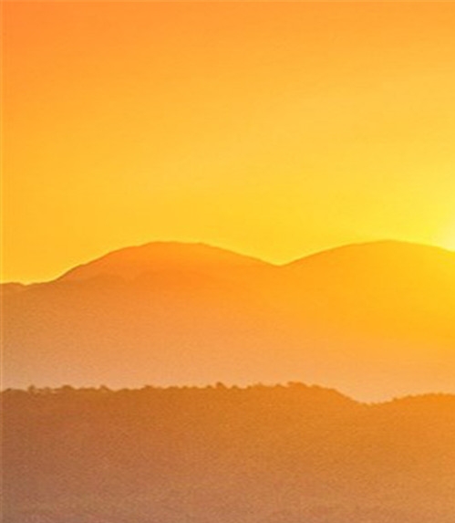 粉象生活邀请码