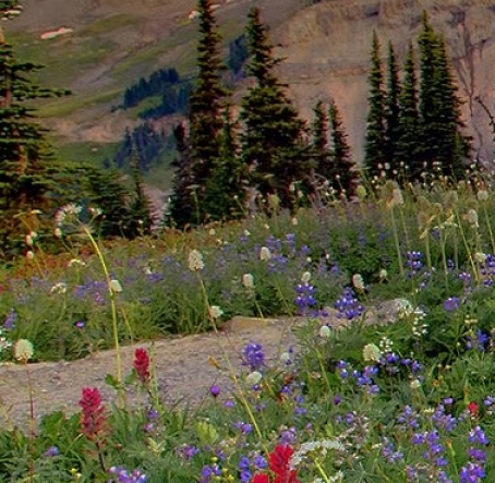 粉象生活是什么?