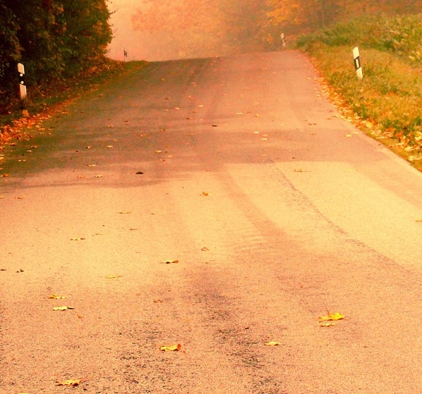 粉象生活营销战略