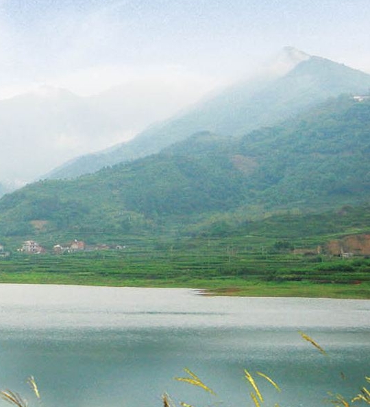 利用粉象生活赚取佣金合法吗?