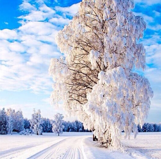 惠州粉象生活vip