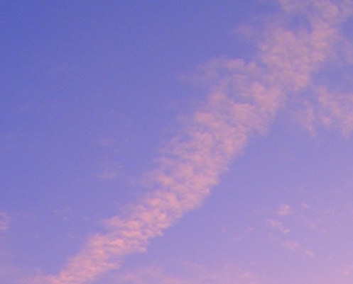 粉象生活能挣钱吗