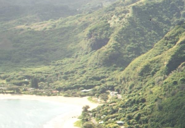 粉象生活佣金利润表