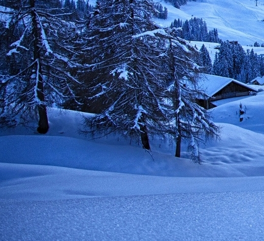 粉象生活打卡分现金