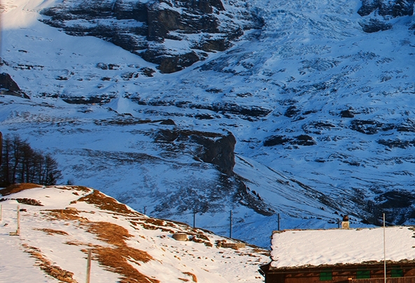 粉象生活怎么赚钱