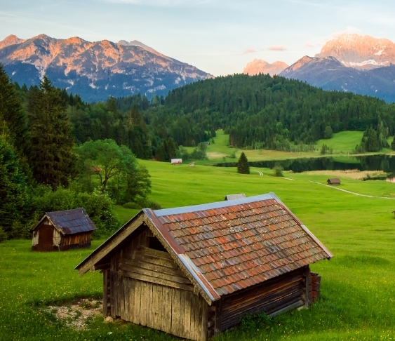 粉象生活app是干嘛的