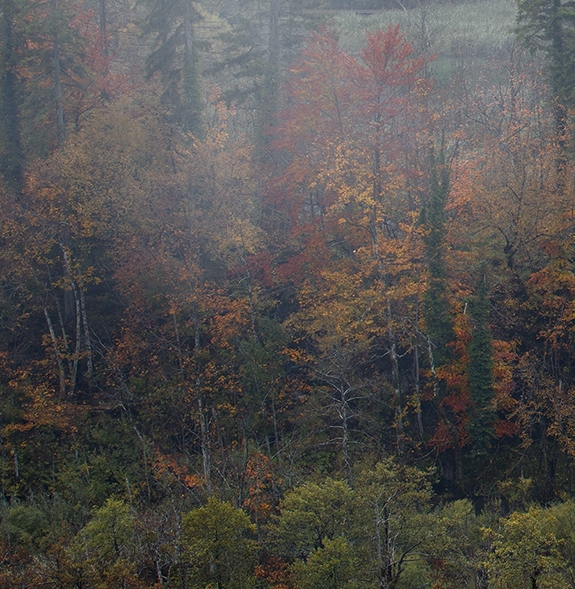 粉象生活怎么上货