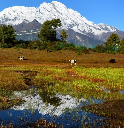 粉象生活新手介绍