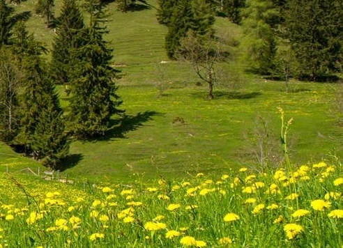 在四川乐山生活怎么样