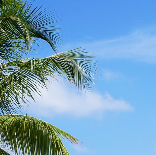 粉象生活粉丝怎么增加