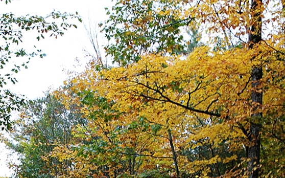 粉象生活怎么赚钱