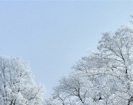 粉象生活邀请码