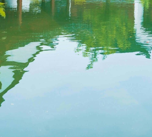 粉象生活有多少app的返利