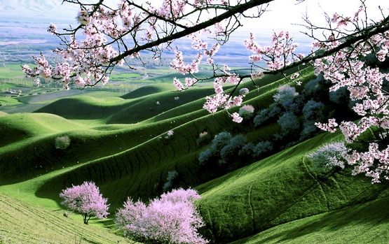 粉象生活二维码推广图怎么弄