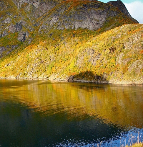 粉象生活新人邀请码怎么填