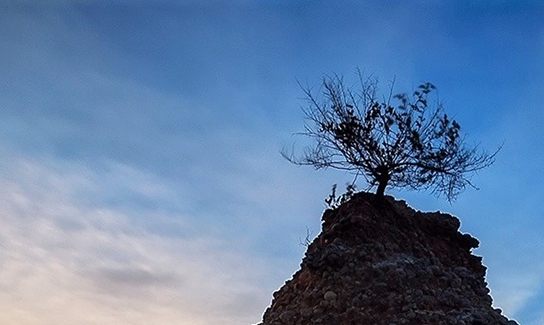 粉象生活真趣盲盒