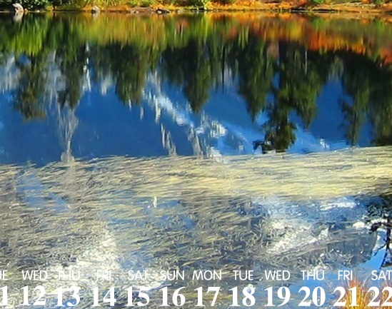 粉象生活的代理费用