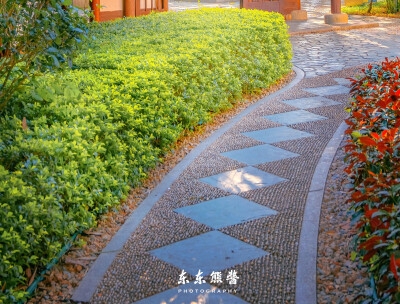 粉象生活怎么赚钱的