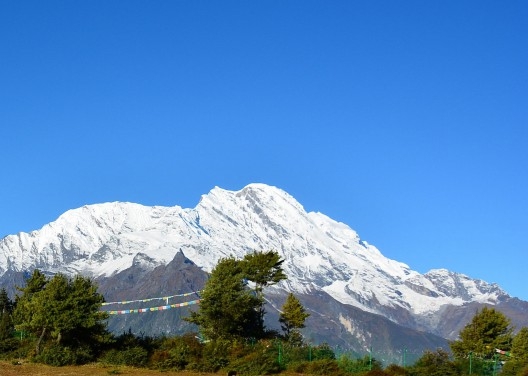 汕尾粉象生活收费