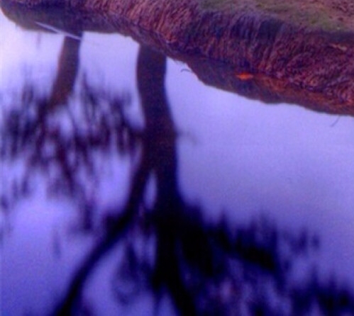 粉象生活怎么注册新号