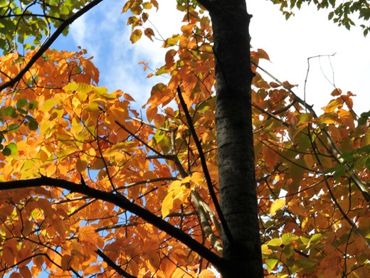 粉象app怎么操作