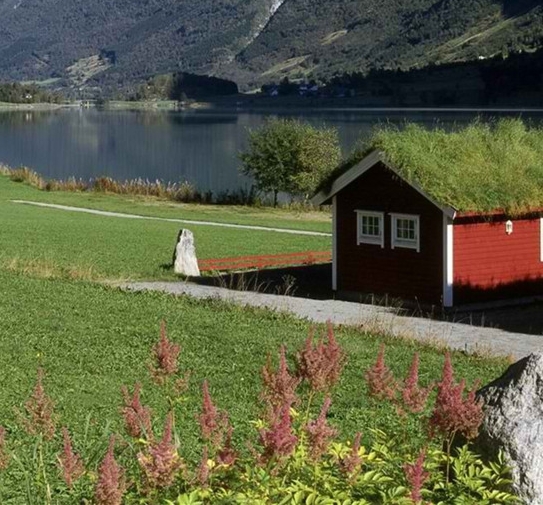 粉象生活宝妈如何挣钱