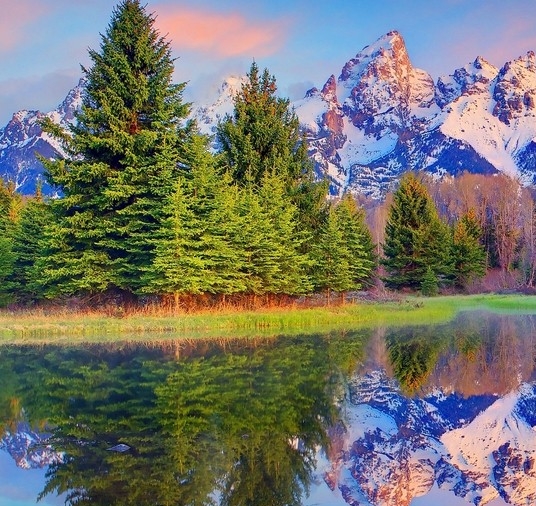 小红书涨粉必须推广吗