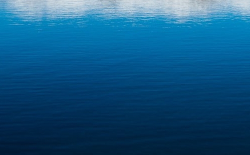 粉象生活新手怎么做