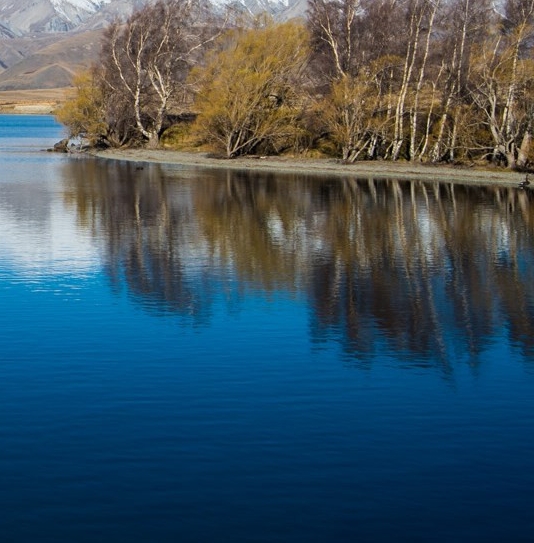 粉象生活看视频答案