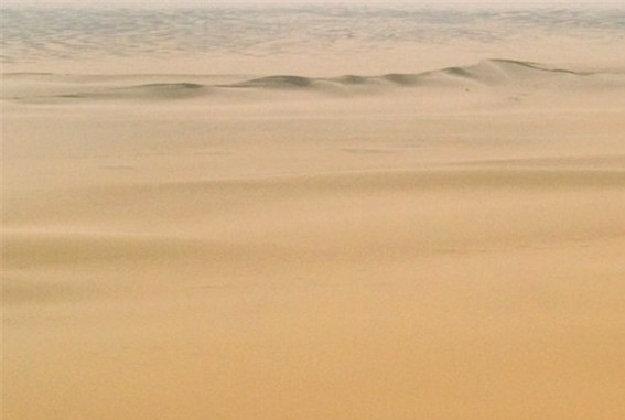 下象有什么好处